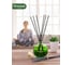 Декоративный ароматизатор Breesal aromatherapy Созерцание красоты (8) ARST/006 10