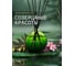 Декоративный ароматизатор Breesal aromatherapy Созерцание красоты (8) ARST/006 2