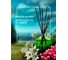 Декоративный ароматизатор Breesal aromatherapy Вдохновение (8) ARST/004 6