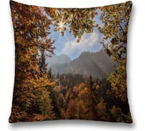 Декоративная наволочка JOYARTY sl_30414