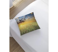 Декоративная наволочка JoyArty sl_16561