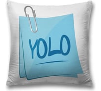 Декоративная наволочка JOYARTY sl_62200