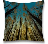 Декоративная наволочка JoyArty sl_30793