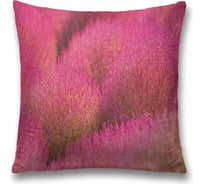 Декоративная наволочка JoyArty sl_30799