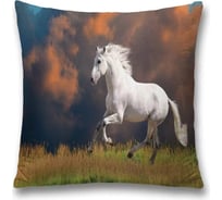 Декоративная наволочка JoyArty sl_16162