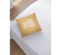 Декоративная наволочка JoyArty sl_3998somonb