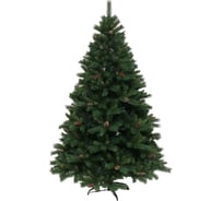 Зеленая ель Волшебная страна с шишками, 120 см 106286