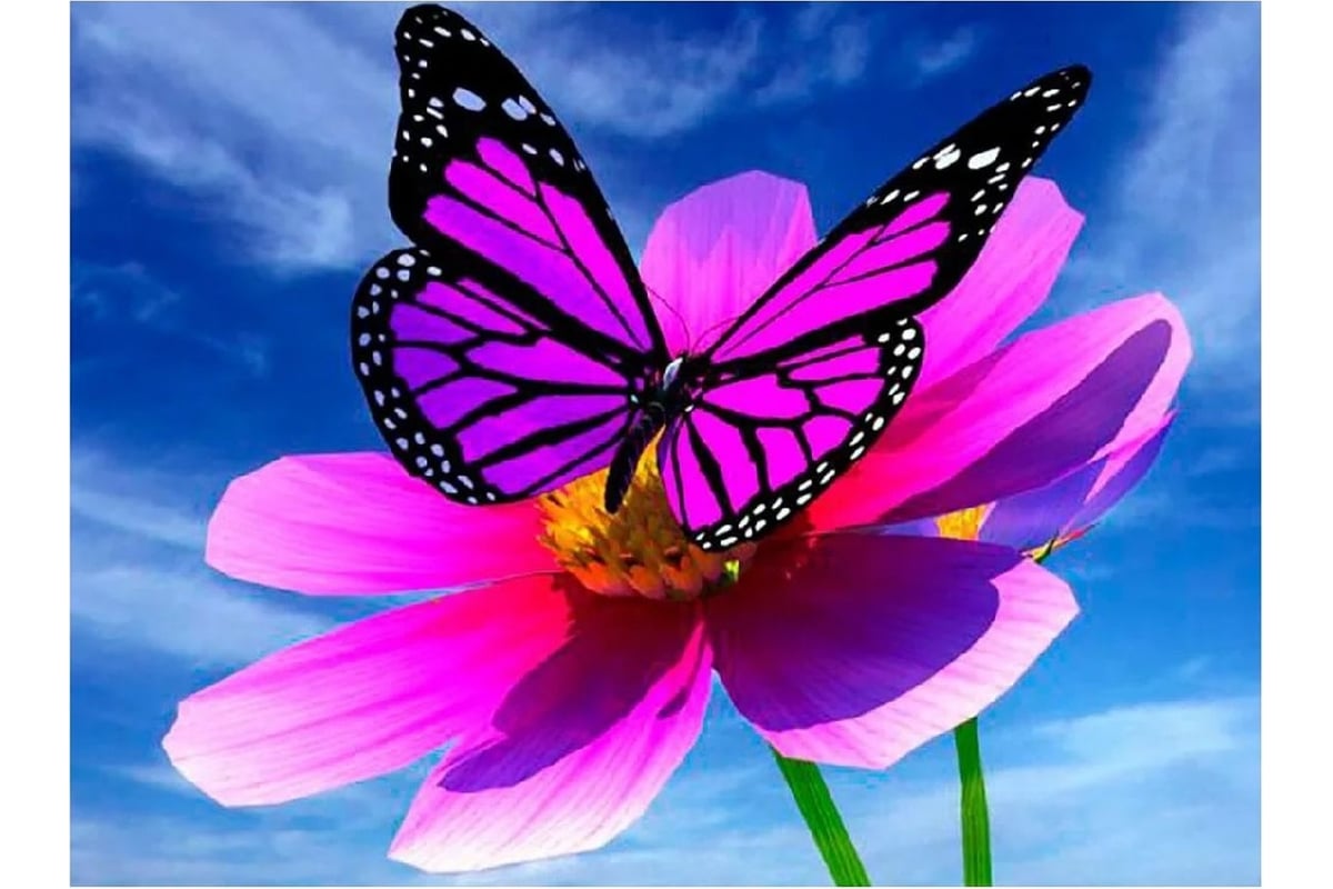 Картинки на аватарку бабочки
