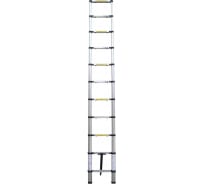 Телескопическая лестница ТЕХПРОМ 3.2 м SW-T1032