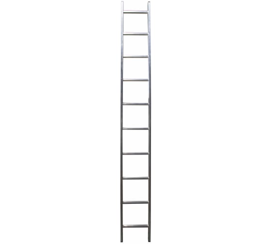Односекционная лестница Gigant L-01 1х10 (Россия) 1