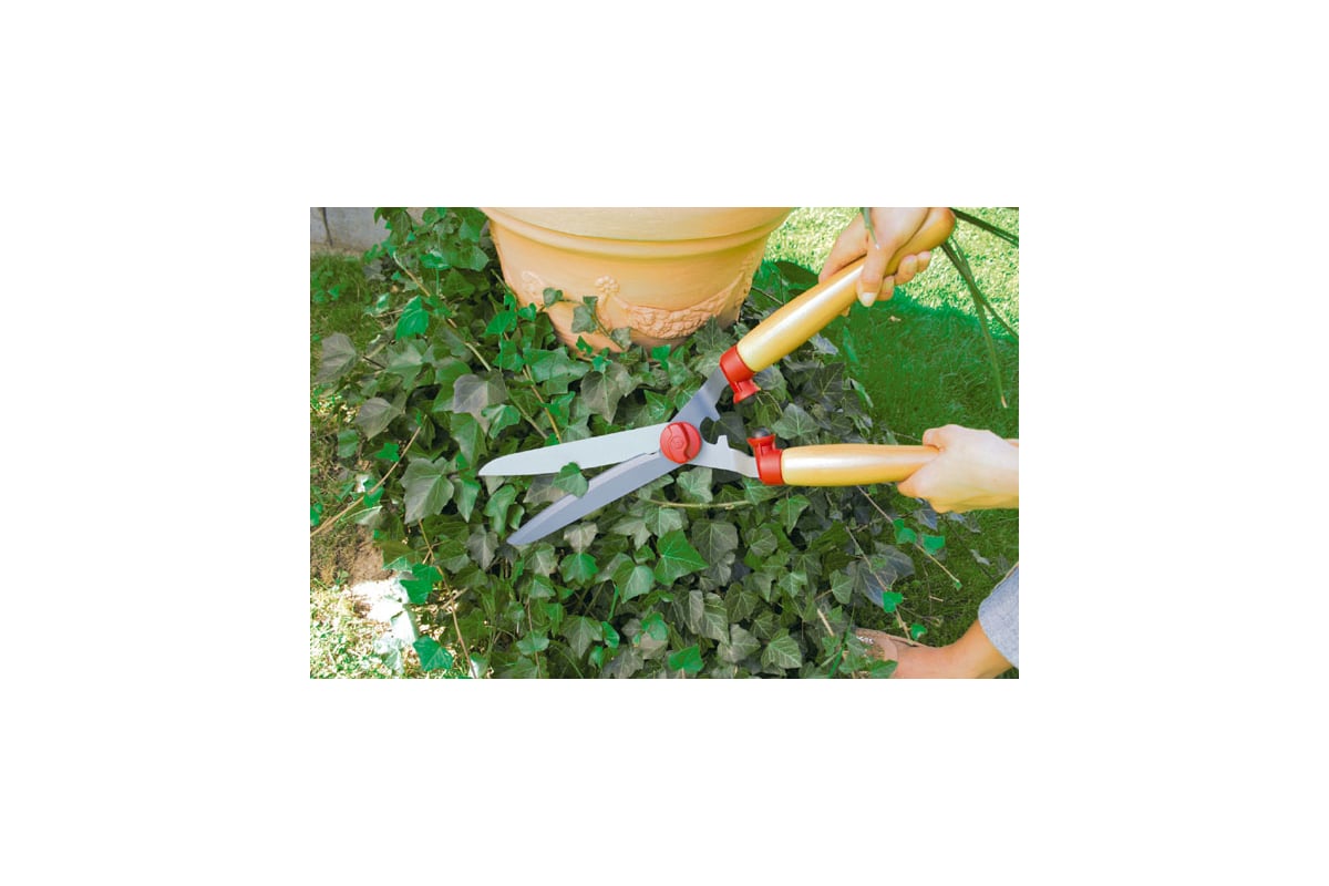 Специальные ножницы для стрижки кустов Wolf-Garten HS-TL 7438000 ...