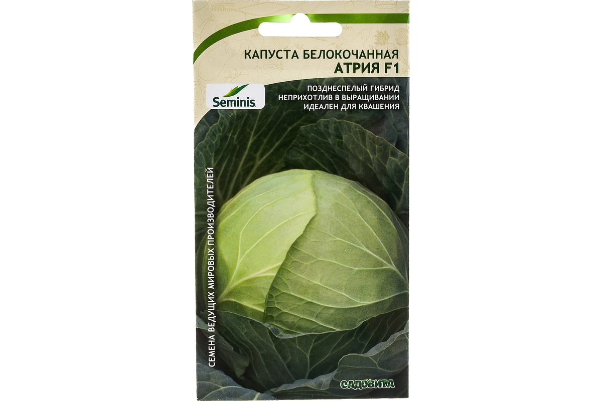 Семена Капусты Новатор Купить