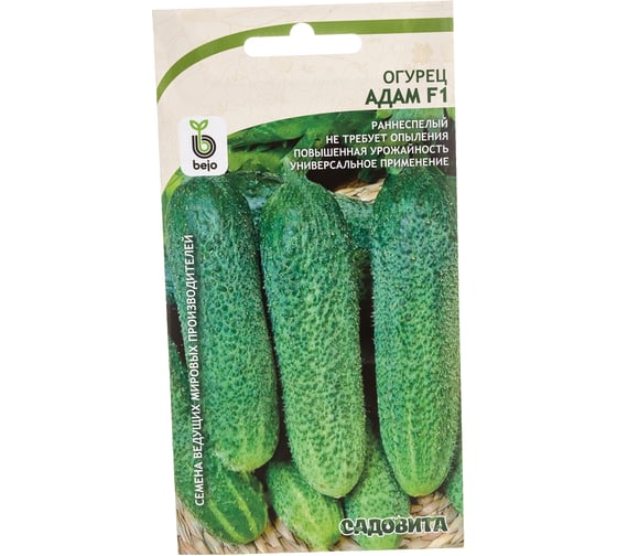 Семена САДОВИТА  Адам F1 5 семечек 00140107 - выгодная цена .