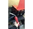 Сварочный полуавтомат инвертор FUBAG IRMIG 200 SYN 31447 + горелка FB 250 3 м 38443 31447.1 26