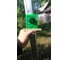 Мишень зеленая Target G FUBAG 31646 5