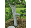 Краска для садовых деревьев ЯРКО САДОВОД белая, 2.5 кг О03025