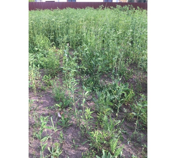 Травокосилка Husqvarna 331R 9678665-04 6