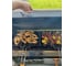 Мангал гриль Professional Optima BBQ GRATAR POB 3000 19