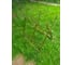 Козлы металлические 200 кг Gigant GSH-02 15