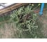 Извлекатель сорняков Gardena 03517-20.000.00 8