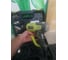 Промышленный фен с LCD дисплеем 2000 Вт Ryobi EHG2020LCD 5133001730 27