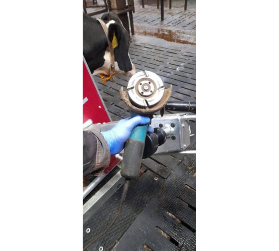 Болгарка (УШМ) Makita 9558 HN 41