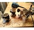 Кромочный фрезер Makita RT0700CX2 39