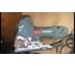 Лобзик Metabo STE 140 PLUS 601403700 6