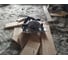 Циркулярная пила Metabo KS 55 600855000 20