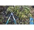 Сучкорез 680 B Classic Gardena 08775-20.000.00 3