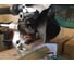 Торцовочная пила Makita LS0815FL 5