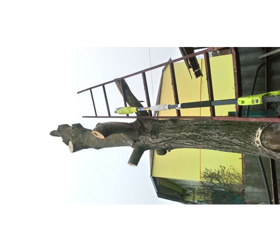 Штанговый сучкорез Ryobi RPP750S 5133002228 - выгодная цена, отзывы ...