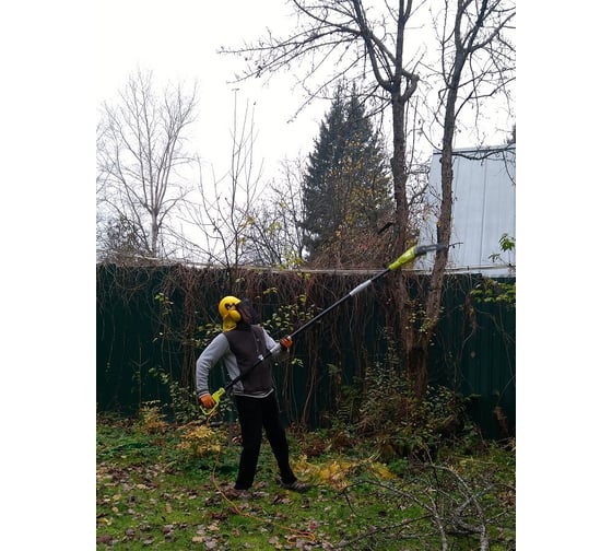 Штанговый сучкорез Ryobi RPP750S 5133002228 - выгодная цена, отзывы ...