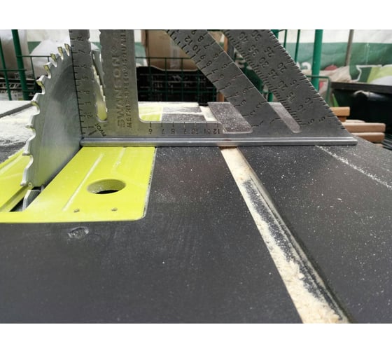 Распиловочный станок без станины Ryobi RTS1800-G 5133002021 46