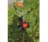 Бензиновый триммер CARVER PROMO PBC-33 01.001.00026 9