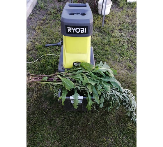 Электрический садовый измельчитель Ryobi RSH2545B 5133002512 18