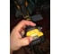 Бесщеточная ударная дрель-шуруповерт DEWALT DCD796P2 26