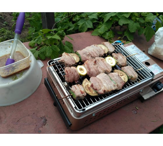Портативный газовый гриль TOURIST MASTER GRILL TG-010 для мяса и рыбы ...