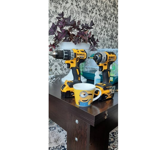 Бесщеточный импульсный шуруповерт DEWALT XR DCF887N 48