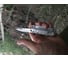 Мультитул Leatherman Rev 832130 7