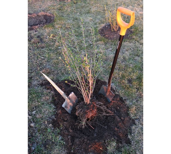 Штыковая лопата FISKARS SolidTM 1026686 15