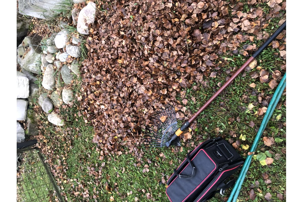 Насадка-грабли веерные Fiskars QuikFit 1000644 - выгодная цена, отзывы ...