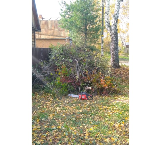 парма практик бп 045 15 запчасти. benzinovaya pila parma bp 138 14 02 019 00004 2020 10 06 10 31 15 1 5f7c1d439b4b4. парма практик бп 045 15 запчасти фото. парма практик бп 045 15 запчасти-benzinovaya pila parma bp 138 14 02 019 00004 2020 10 06 10 31 15 1 5f7c1d439b4b4. картинка парма практик бп 045 15 запчасти. картинка benzinovaya pila parma bp 138 14 02 019 00004 2020 10 06 10 31 15 1 5f7c1d439b4b4. парма практик бп 045 15 запчасти. benzinovaya pila parma bp 138 14 02 019 00004 2020 10 06 10 31 15 1 5f7c1d439b4b4. парма практик бп 045 15 запчасти фото. парма практик бп 045 15 запчасти-benzinovaya pila parma bp 138 14 02 019 00004 2020 10 06 10 31 15 1 5f7c1d439b4b4. картинка парма практик бп 045 15 запчасти. картинка benzinovaya pila parma bp 138 14 02 019 00004 2020 10 06 10 31 15 1 5f7c1d439b4b4.