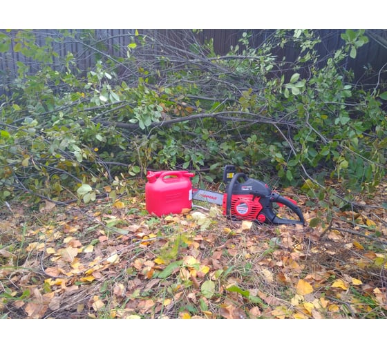 парма практик бп 045 15 запчасти. benzinovaya pila parma bp 138 14 02 019 00004 2020 10 06 10 31 15 2 5f7c1d43a3fb1. парма практик бп 045 15 запчасти фото. парма практик бп 045 15 запчасти-benzinovaya pila parma bp 138 14 02 019 00004 2020 10 06 10 31 15 2 5f7c1d43a3fb1. картинка парма практик бп 045 15 запчасти. картинка benzinovaya pila parma bp 138 14 02 019 00004 2020 10 06 10 31 15 2 5f7c1d43a3fb1. парма практик бп 045 15 запчасти. benzinovaya pila parma bp 138 14 02 019 00004 2020 10 06 10 31 15 2 5f7c1d43a3fb1. парма практик бп 045 15 запчасти фото. парма практик бп 045 15 запчасти-benzinovaya pila parma bp 138 14 02 019 00004 2020 10 06 10 31 15 2 5f7c1d43a3fb1. картинка парма практик бп 045 15 запчасти. картинка benzinovaya pila parma bp 138 14 02 019 00004 2020 10 06 10 31 15 2 5f7c1d43a3fb1.