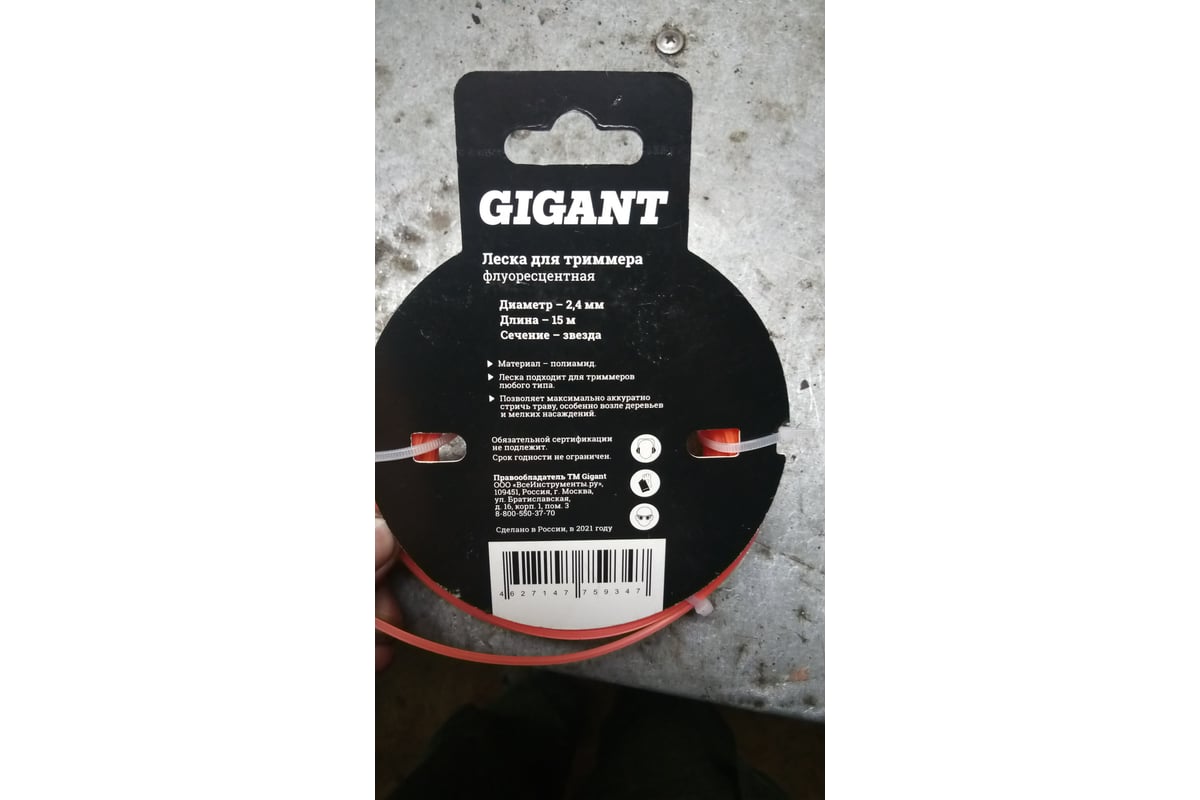 Gigant m