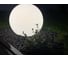 Ландшафтный светильник m3light SPHERE E27 65см IP66 3000K 14572010 8