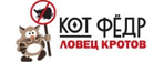 Кот Фёдр