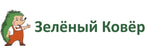 Зеленый ковер