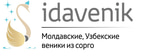 IDAVENIK