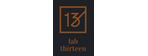 13 LAB THIRTEEN
